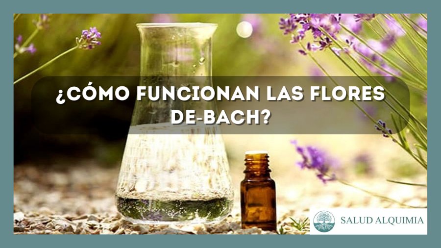 ¿Cómo funcionan las Flores de Bach?