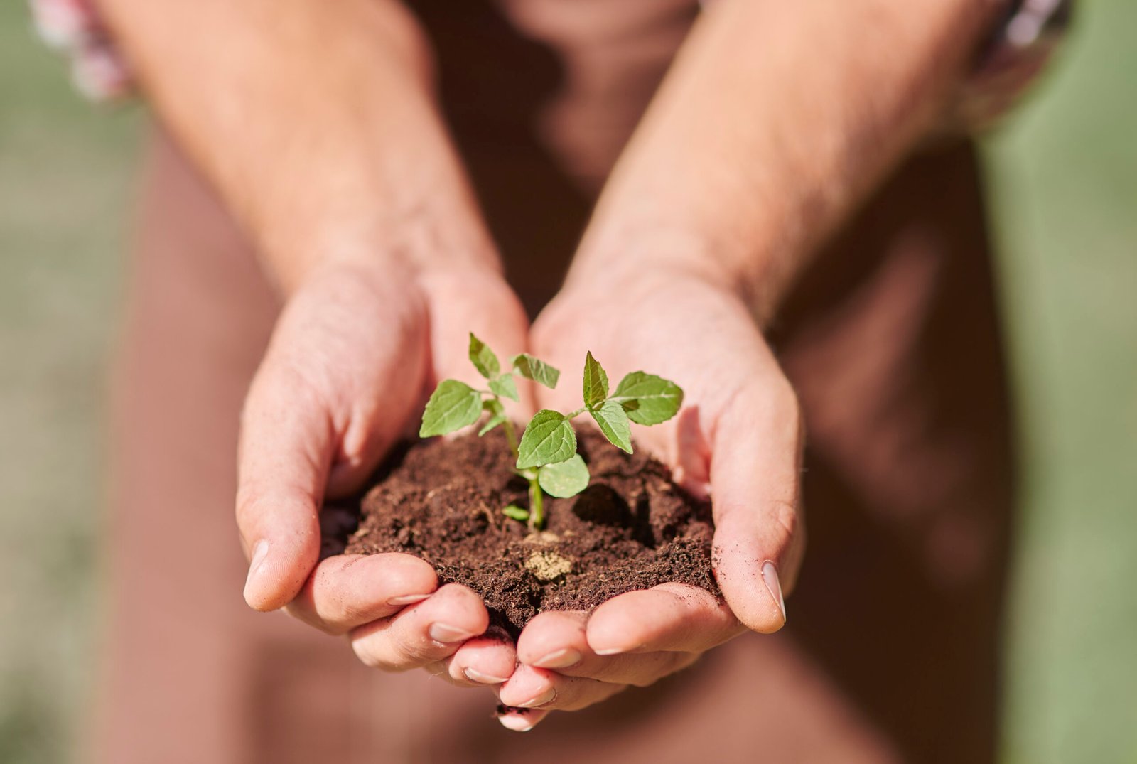 Historia-de-la-naturopatía