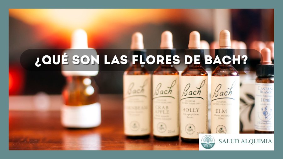 ¿Qué son las Flores de Bach?