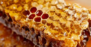 Propóleo Natural - Salud Alquimia Propóleo Natural - Salud Alquimia