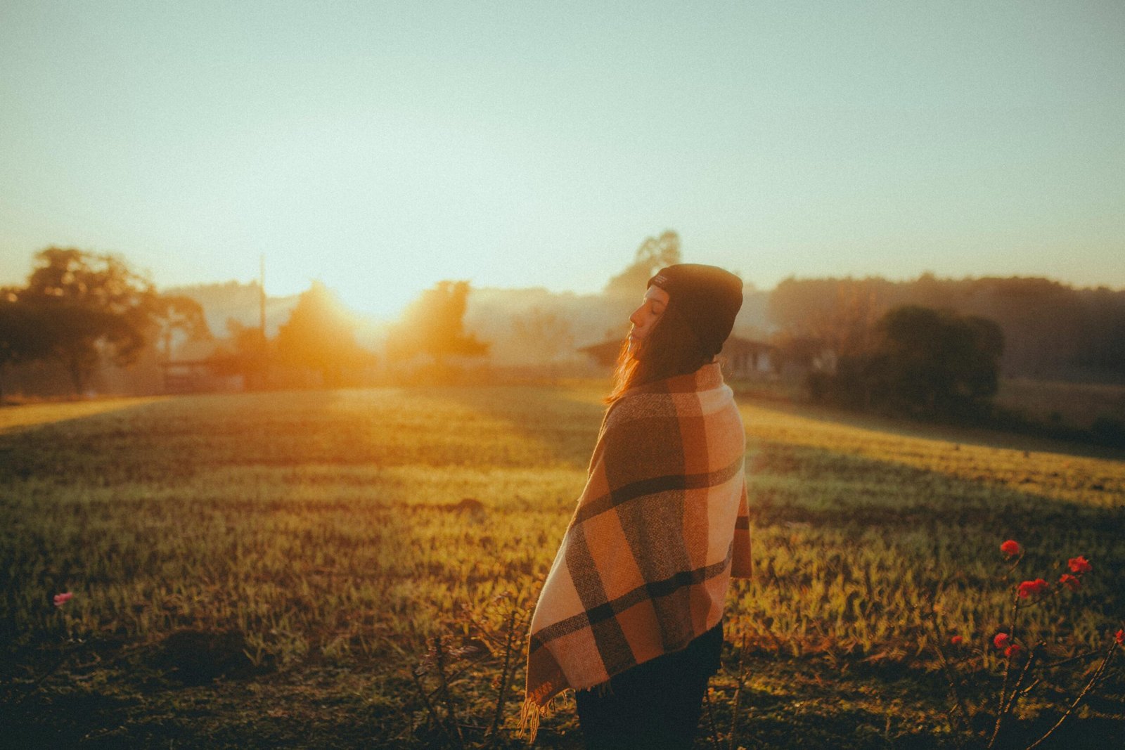 terapia-emocional-integrativa Salud Alquimia